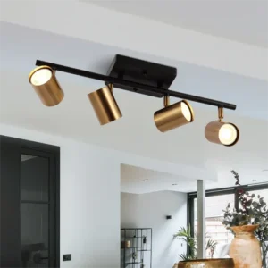 AAED-TL20WLDS-TRACK SPOT LIGHT