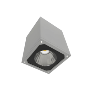 AA-CD105-SURFACE DOWN LIGHT